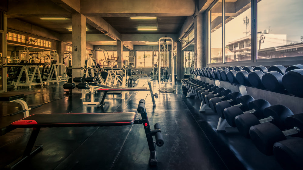 Buying Used Commercial-Grade Gym Equipment For A Home Gym / Fitness  Equipment Empire 