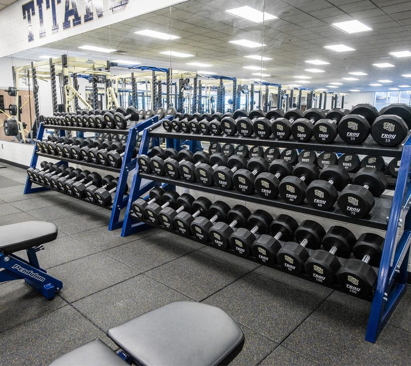 Pendulum 89” Dumbbell Rack 2 or 3 Tier