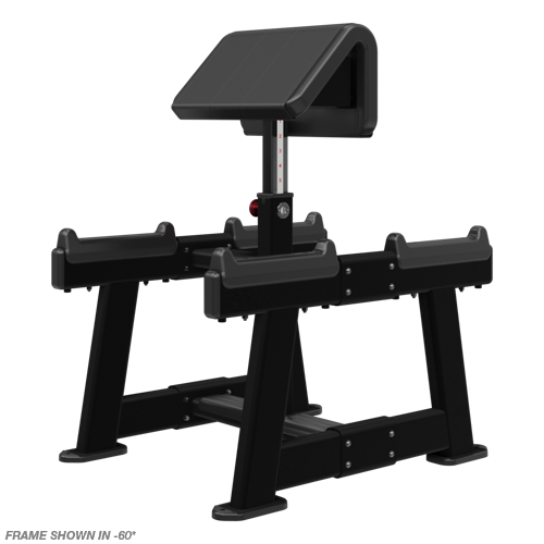 Nautilus Standing Preacher Curl