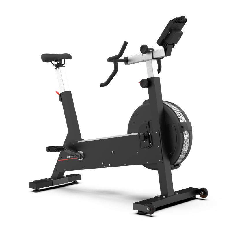 Sole EB900 Air/Magnetic Indoor Cycle
