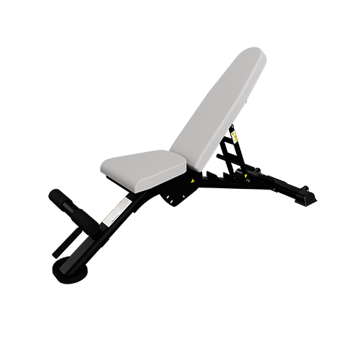 Nautilus Multi-Adjustable Bench 100