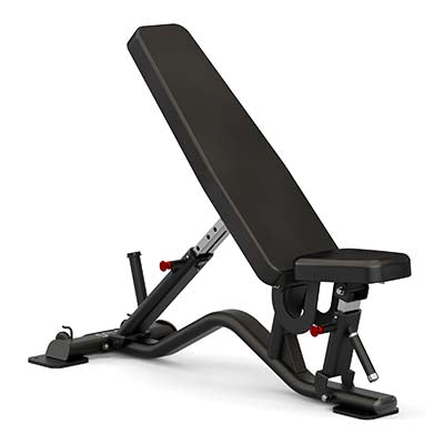 Sole SFI100 Multi-Angle Bench