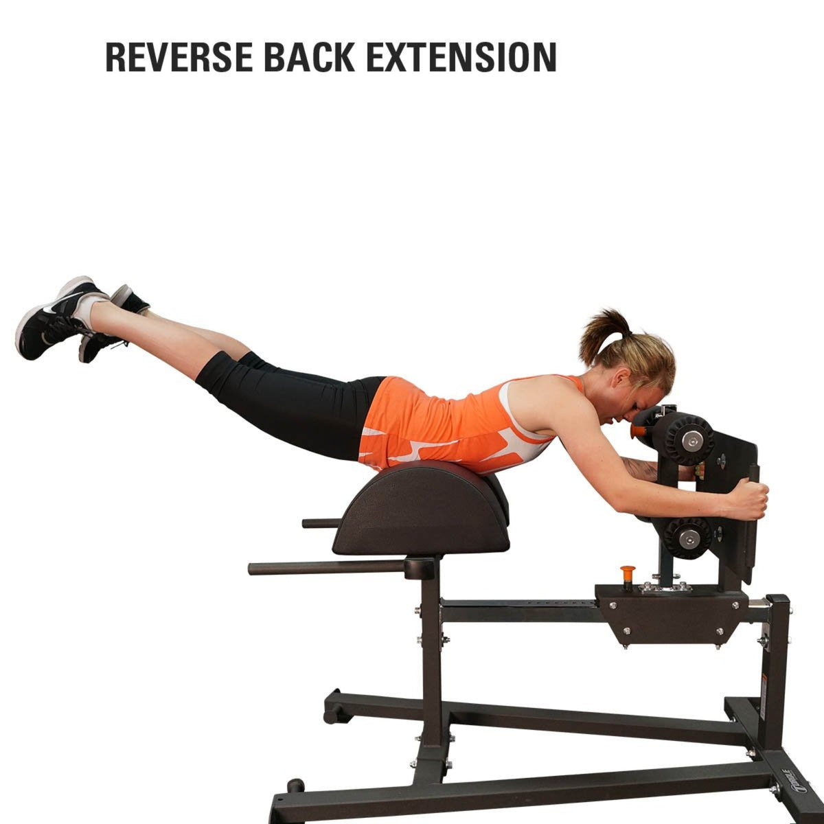 Torque X-Series Glute Ham Developer