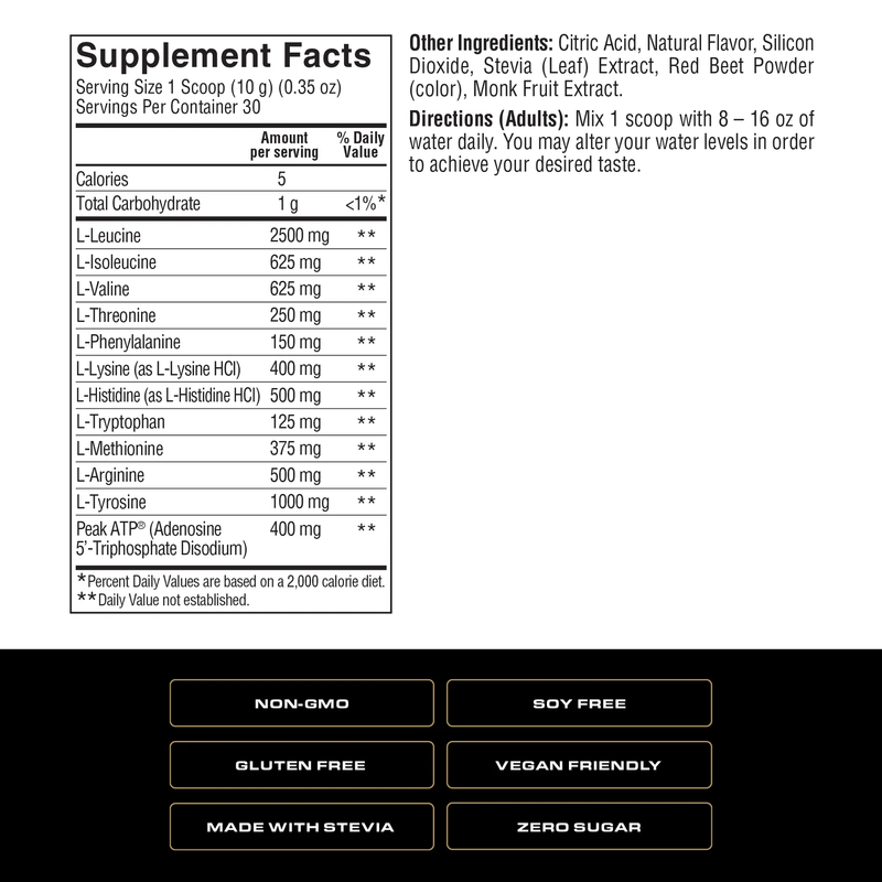 Spoken Aminos + ATP 300g - Fruit Punch