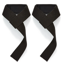 Schiek Basic Padded Lifting Straps