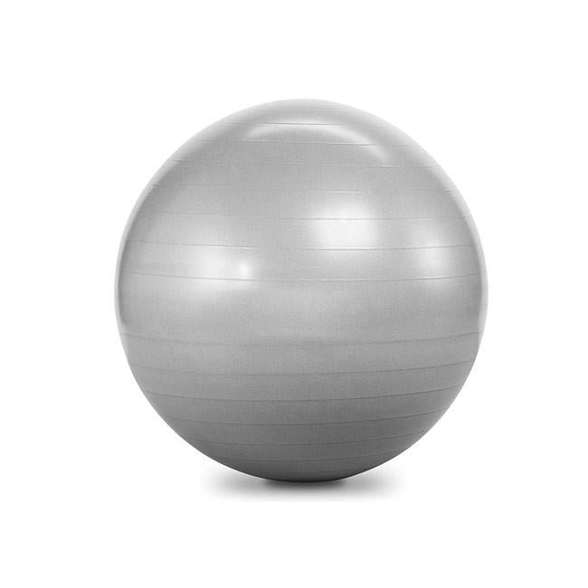 Commercial 55cm Anti-Burst Ball (Silver)