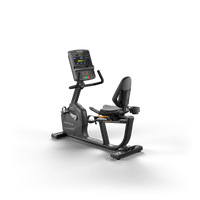 Endurance Premium LED Recumbent