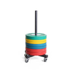 Vertical Bumper Plate Storage