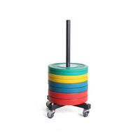 Vertical Bumper Plate Storage