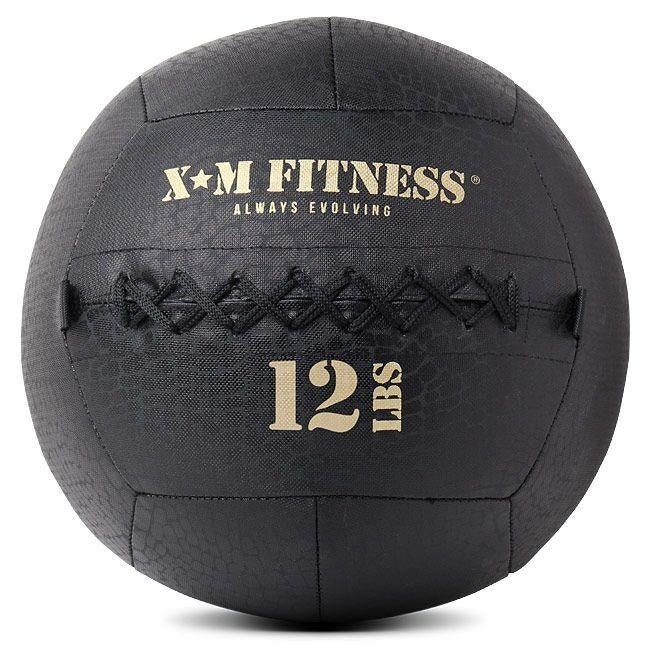 Wall Ball (8-30 lbs)