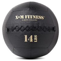 Wall Ball (8-30 lbs)
