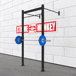 XM Fitness 4-4 Wall Mount Rig V1